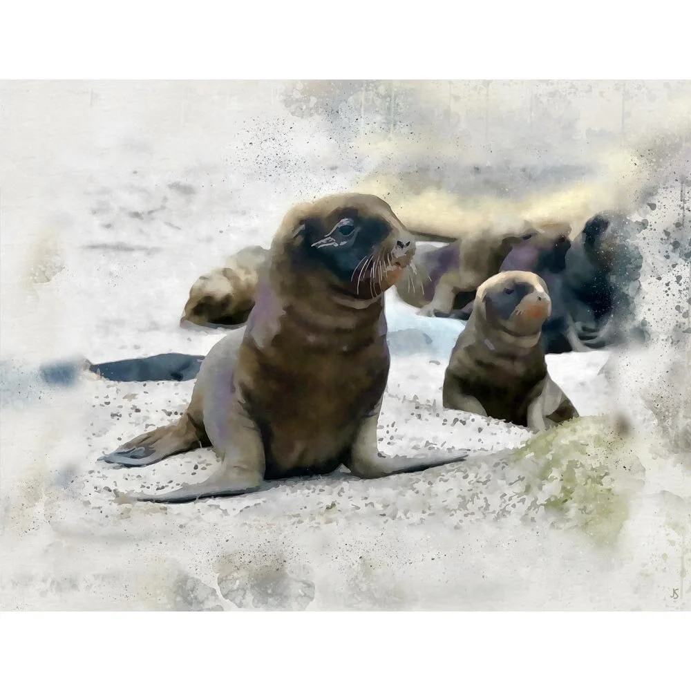 sealion cubs on the beach abstract figurative painting print