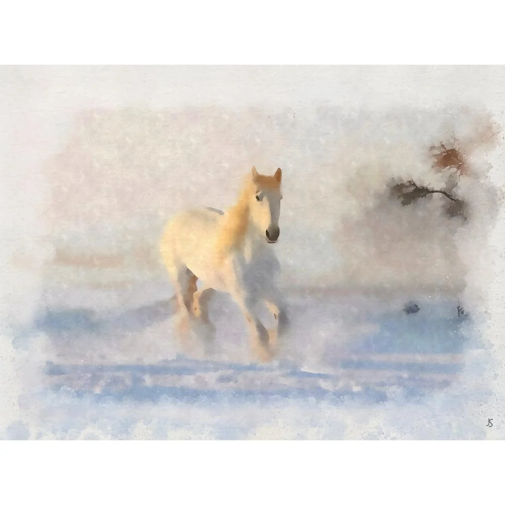 white stallion galopping in snow abstract figurative painting print