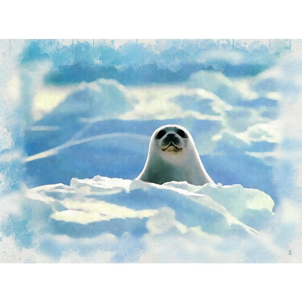 seal cub in arctic snow figurative painting print