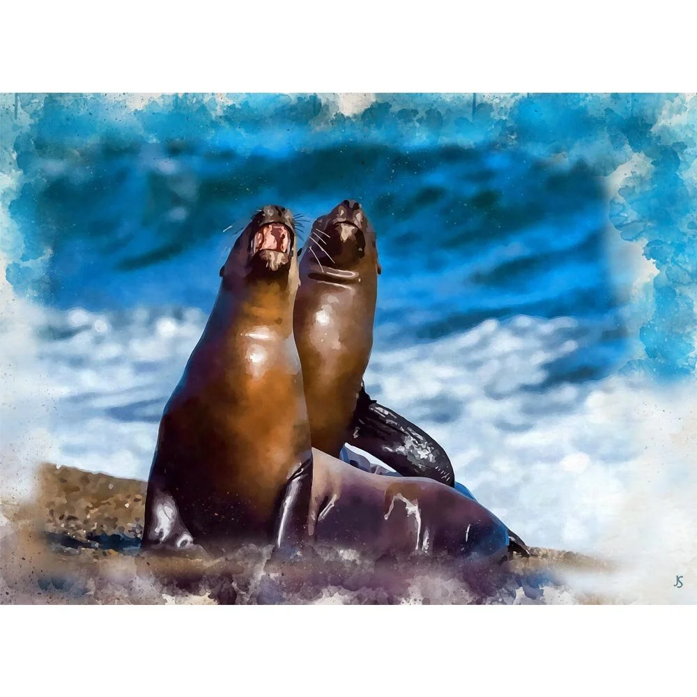 pair of seals on the shore figurative painting print