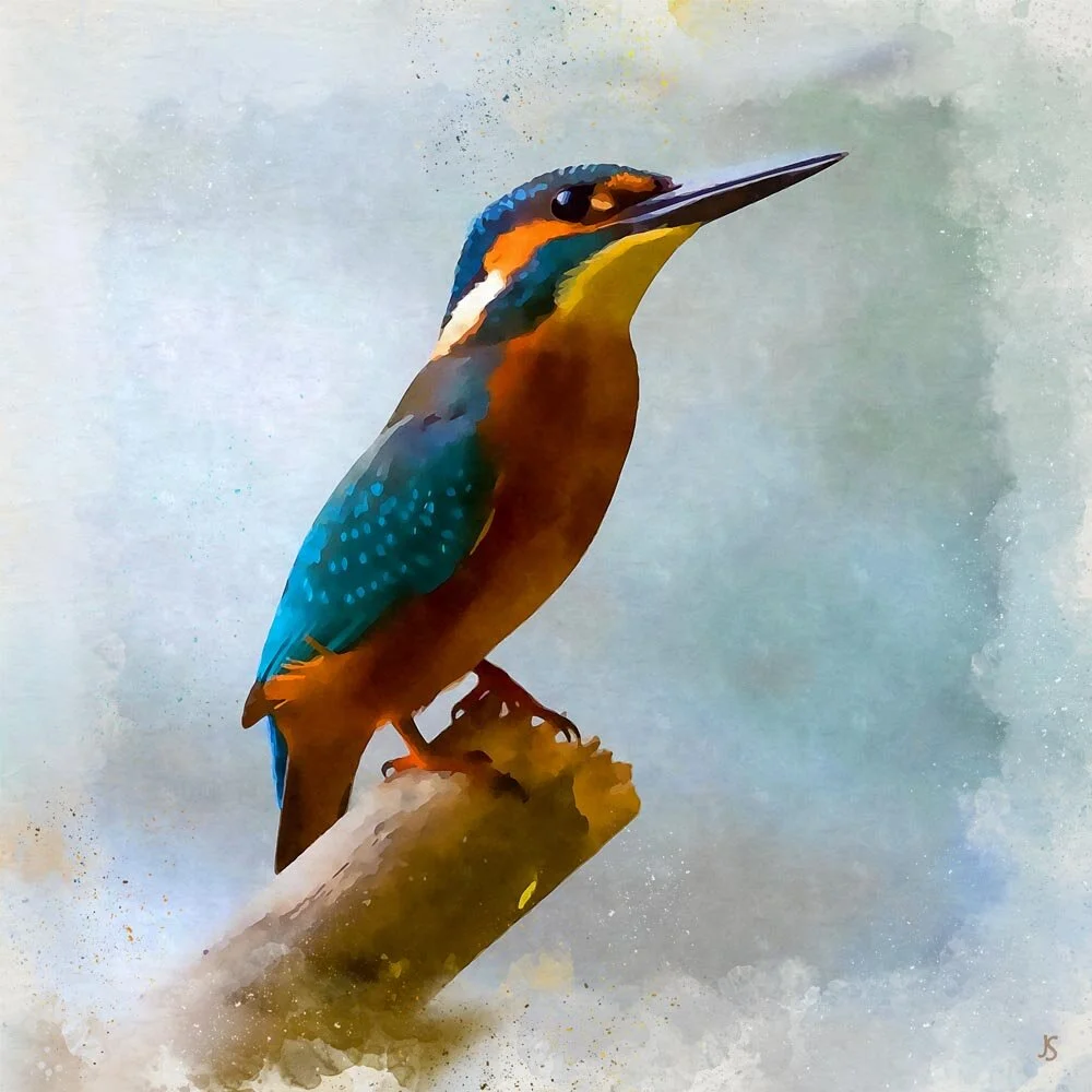 kingfisher sitting on a branch abstract figurative painting print