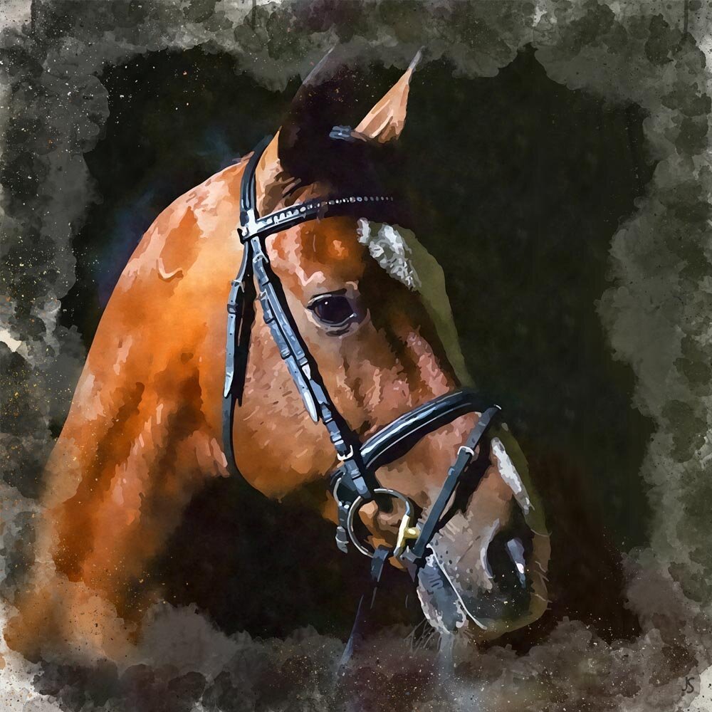 chestnut horse portrait abstract figurative painting print