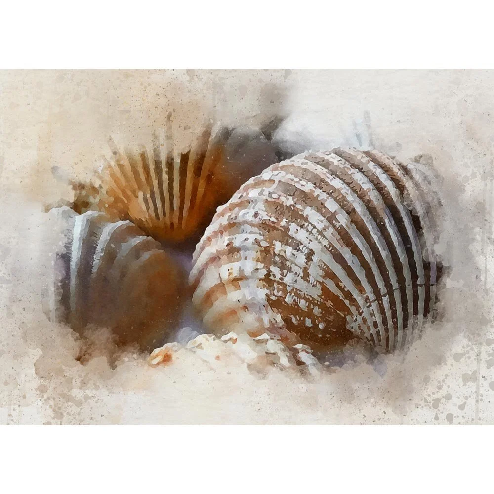 sea shells close up abstract figurative print