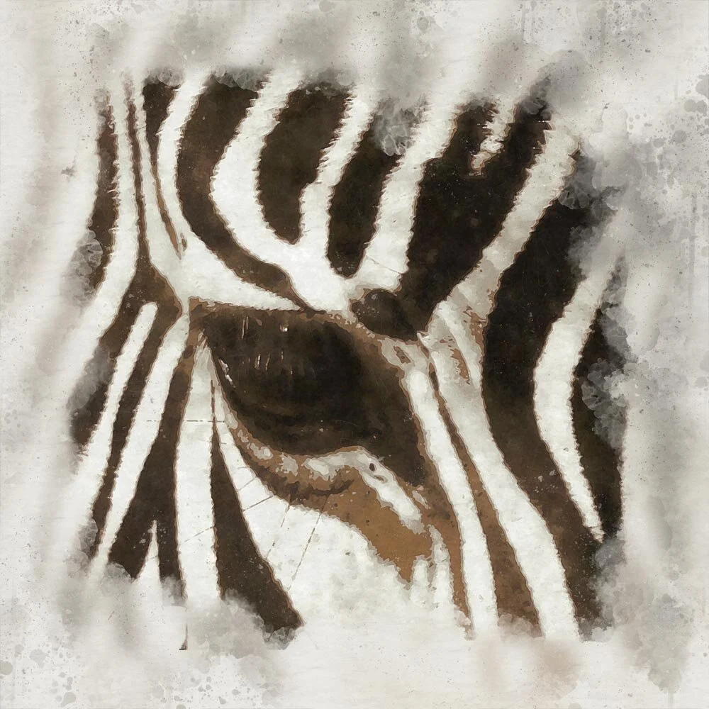 zebra eye close up abstract figurative painting print