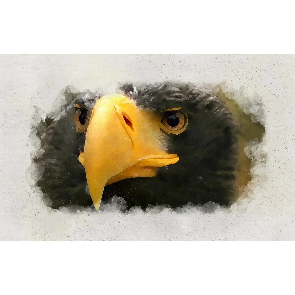 eagle beak close up abstract figurative painting print