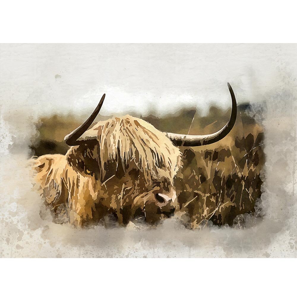 highland bull monochrome abstract figurative painting print