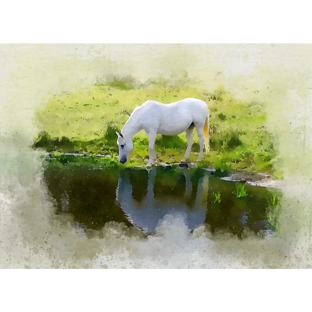white horse drinking at a pond abstract figurative painting print