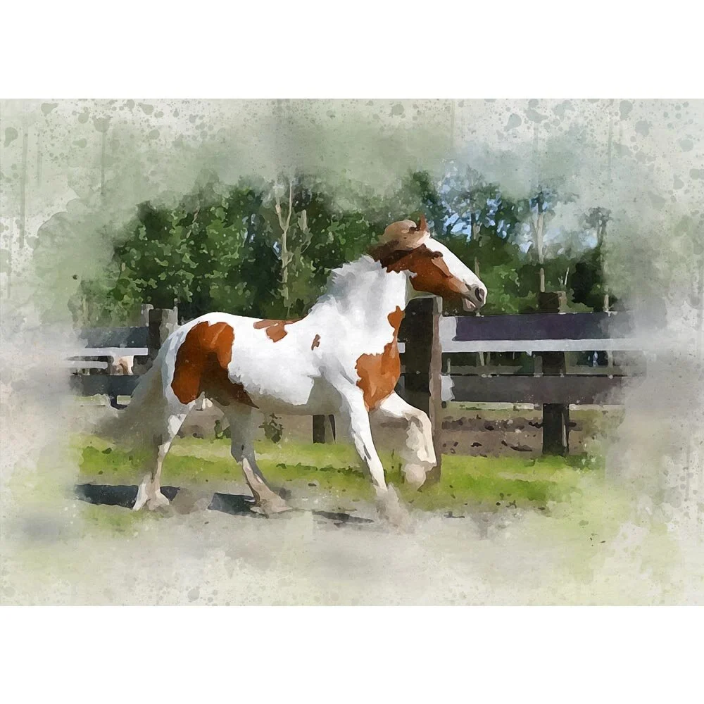 pinto horse behaving fancy abstract figurative painting print