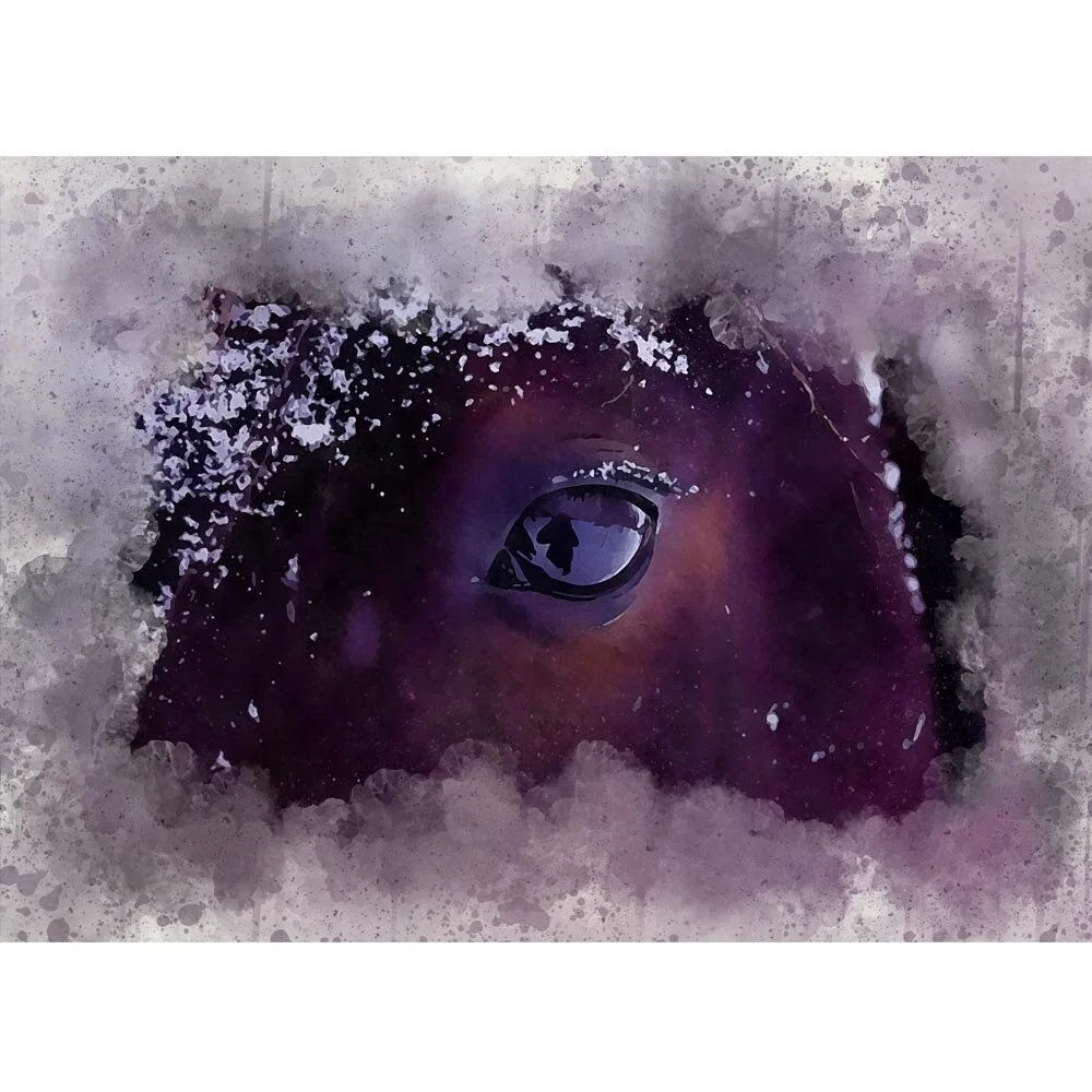 bay horse eye close up abstract figurative painting print