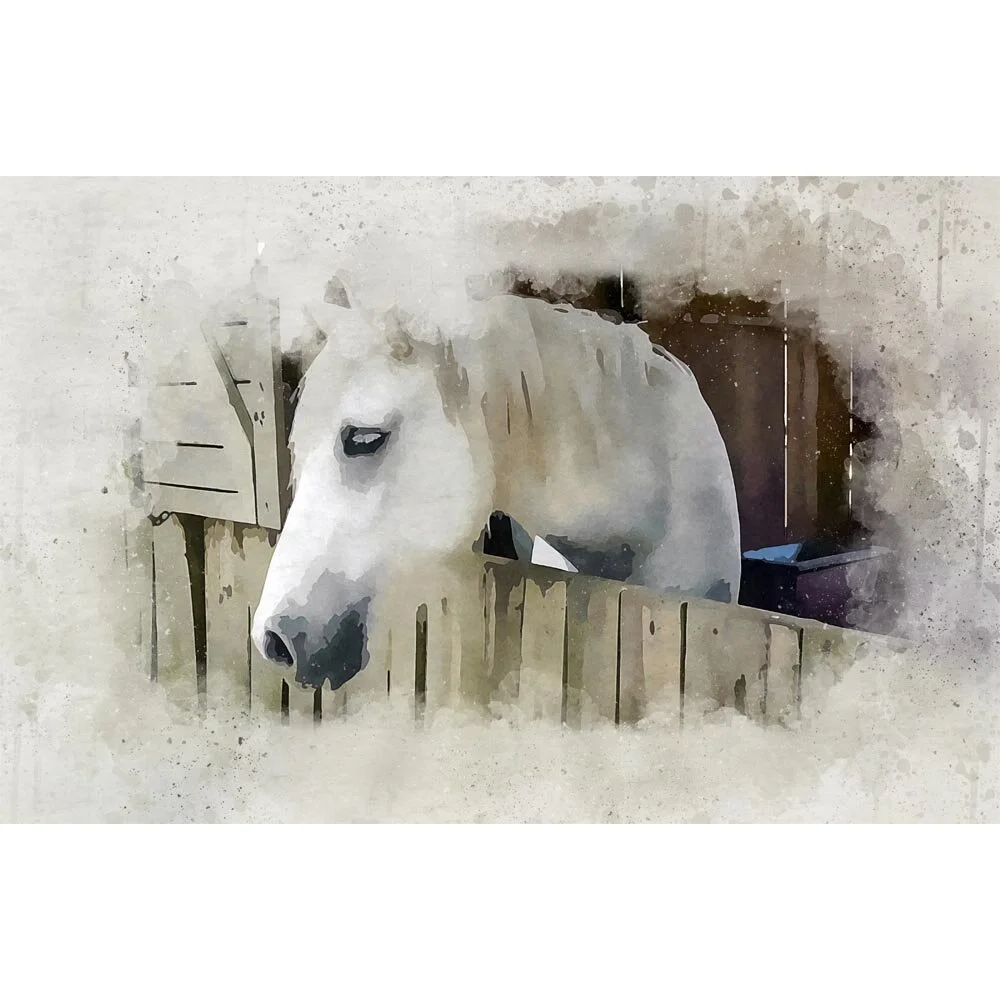 white horse stable door abstract figurative painting print