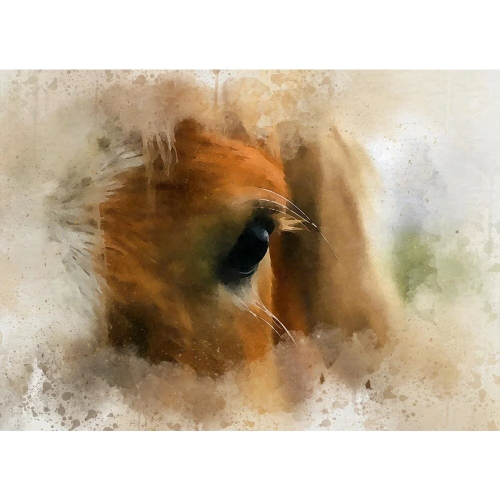 chestnut horse eye close up abstract figurative painting print