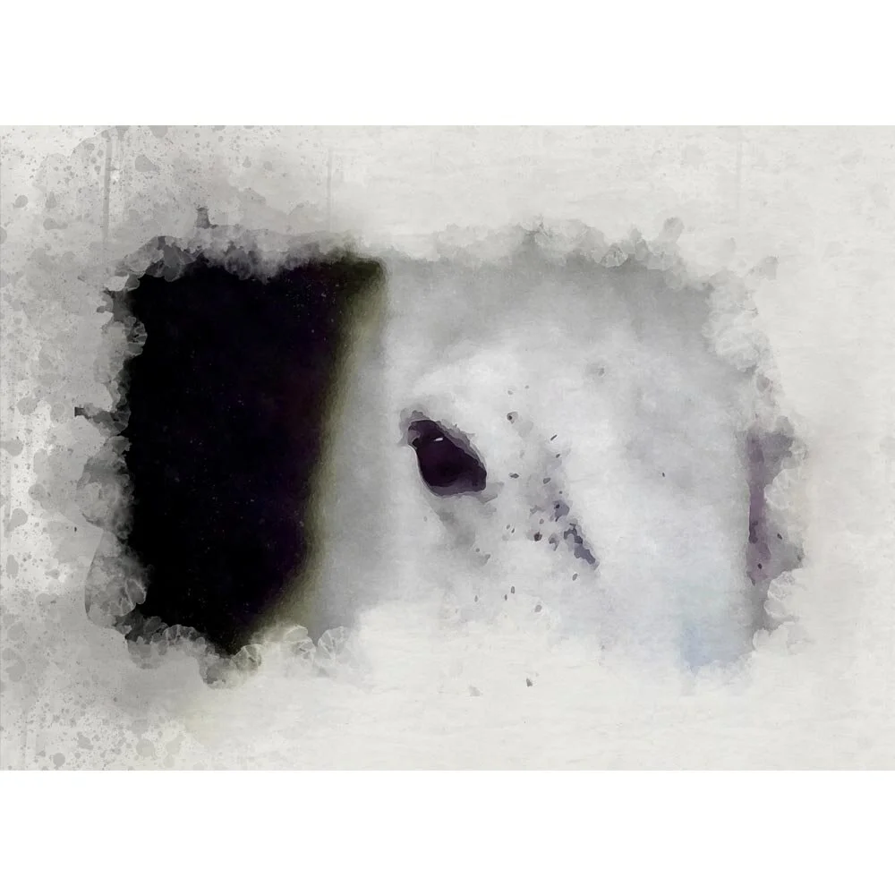 white horse head close up abstract figurative painting print