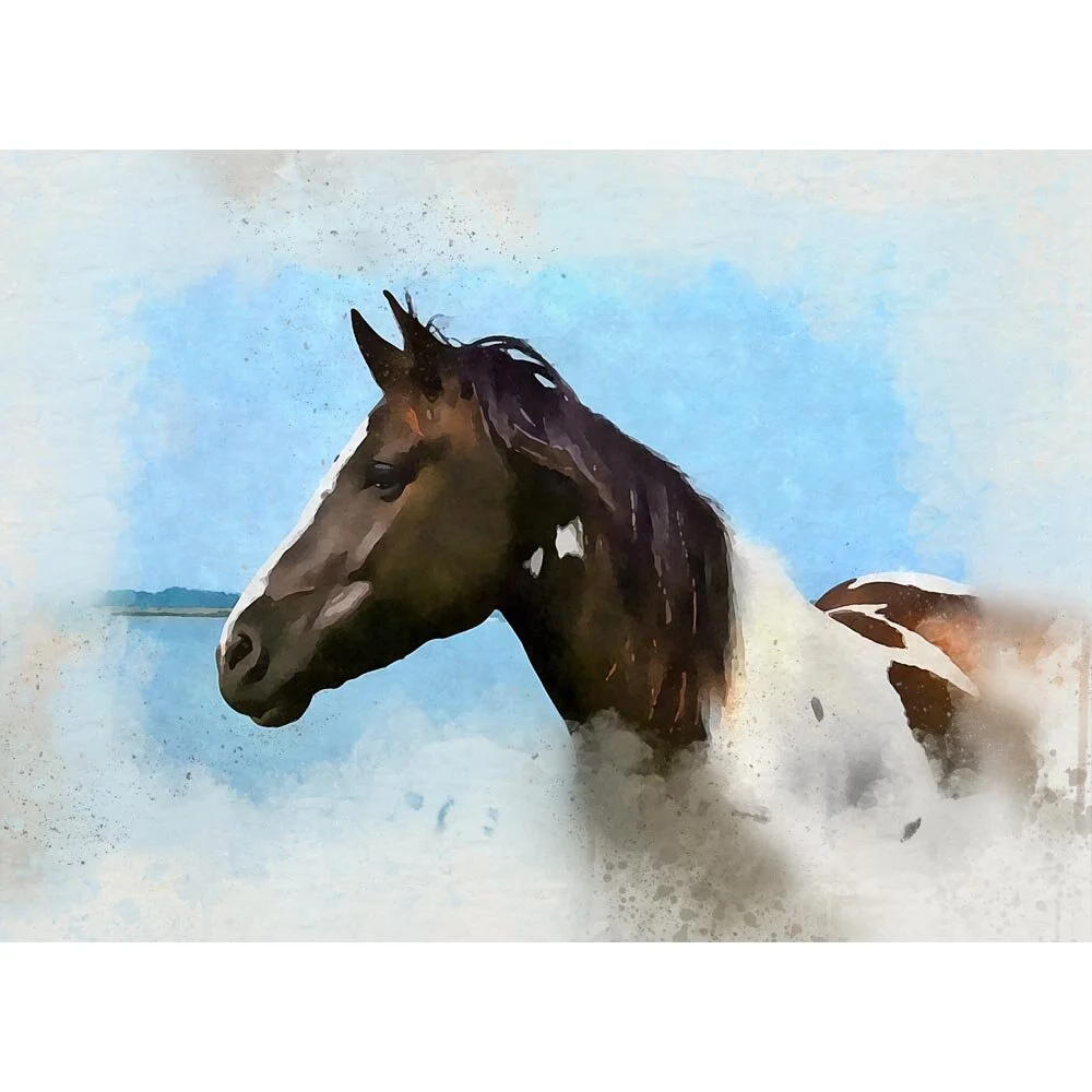 pinto horse watchful abstract figurative painting print