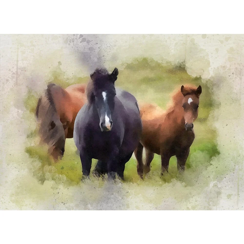 three ponies in a meadow foal mare abstract figurative painting print