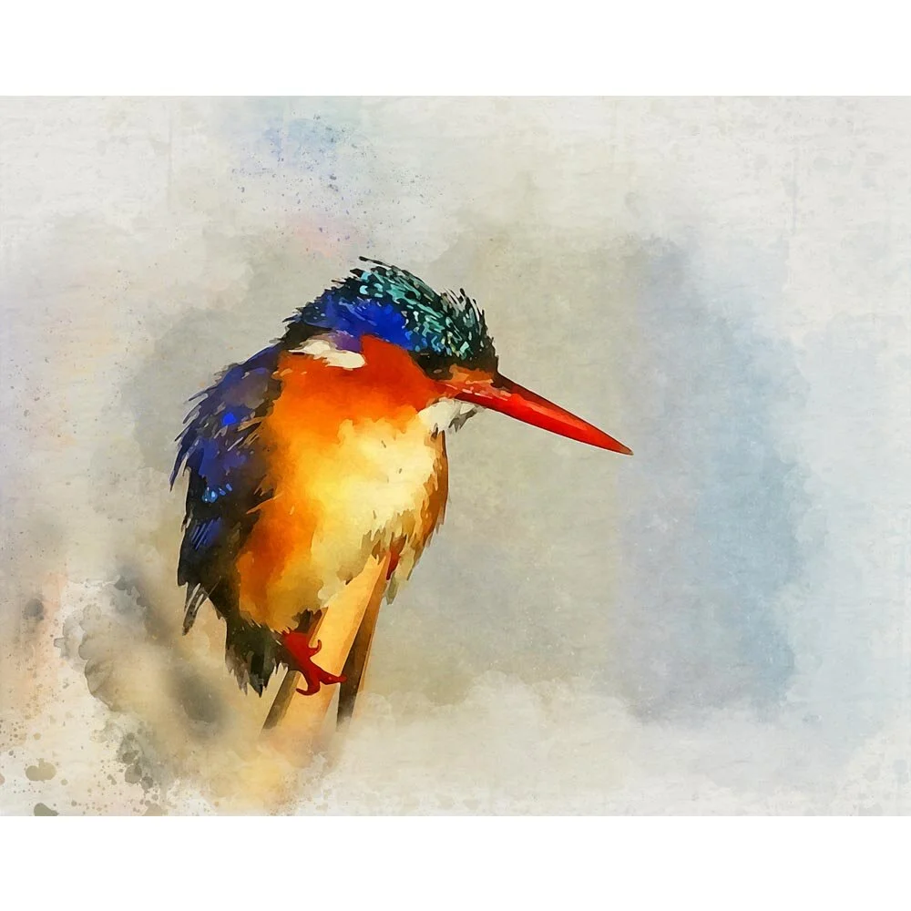 kingfisher on a branch close up abstract figurative painting print
