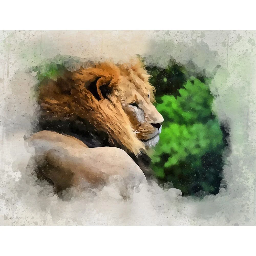 lazy lion ready lying on the ground abstract figurative painting print