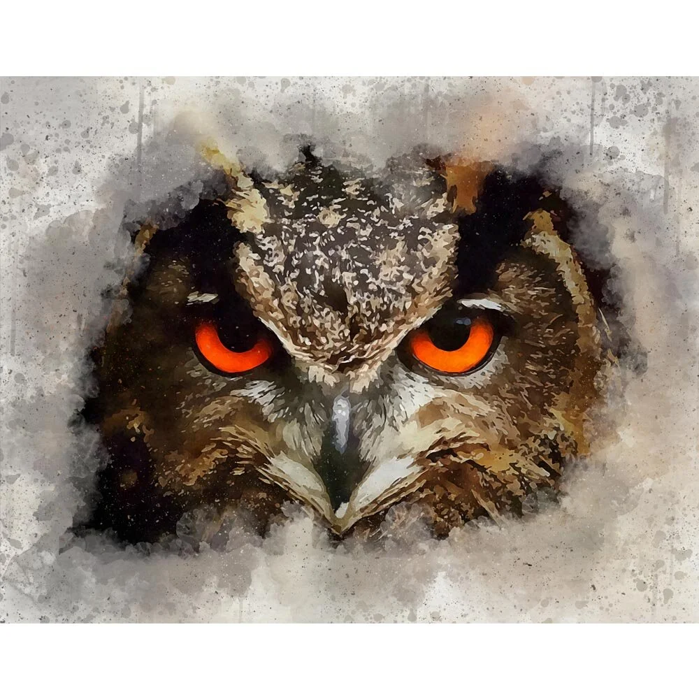 owl eyes close up abstract figurative painting print