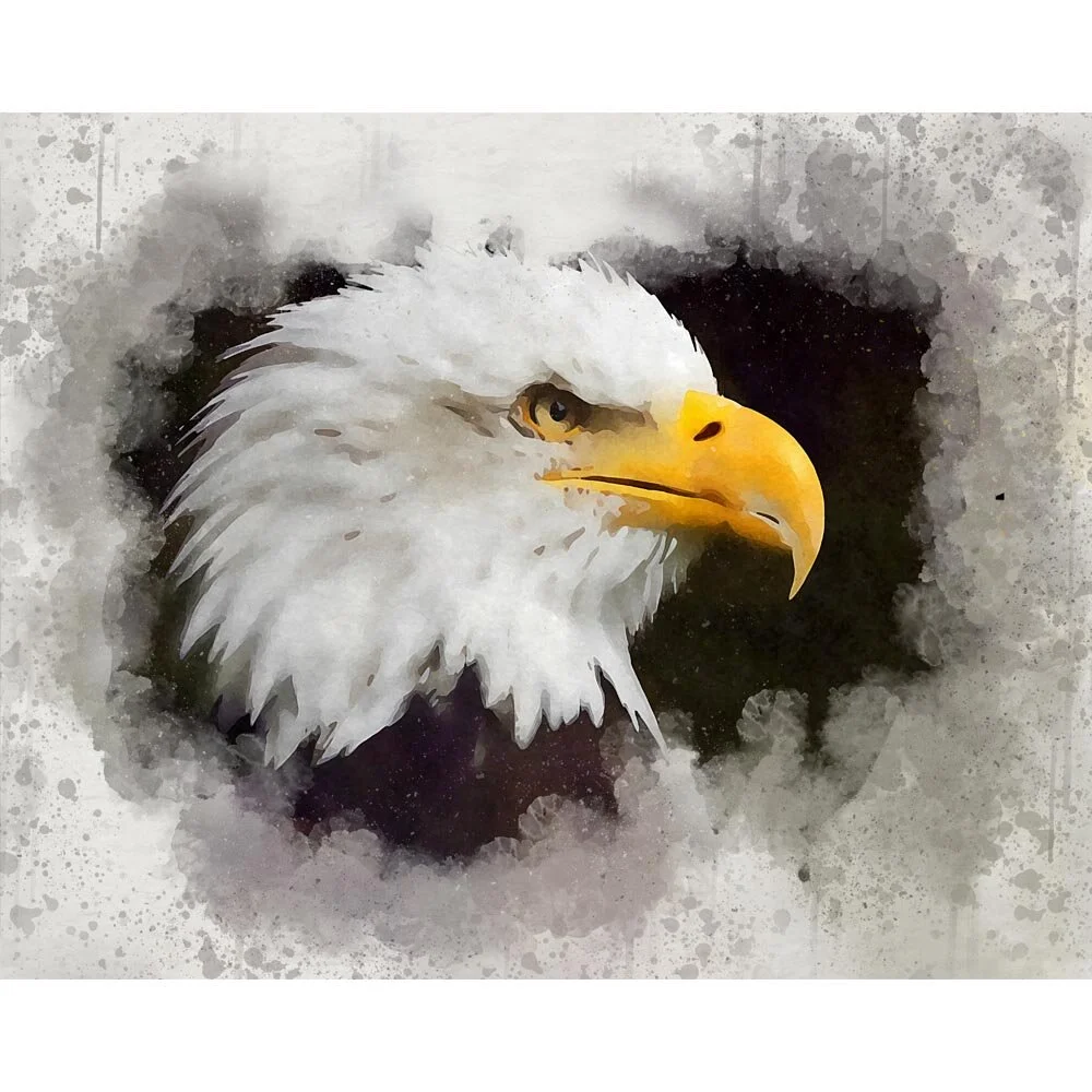 bald eagle beak side view close up abstract figurative painting print