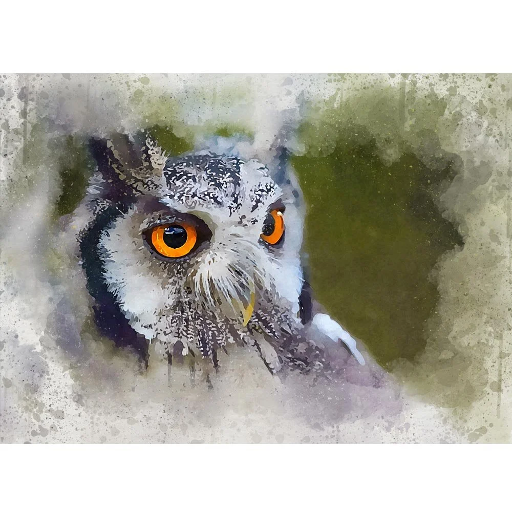 great horned owl eyes close up abstract figurative painting print