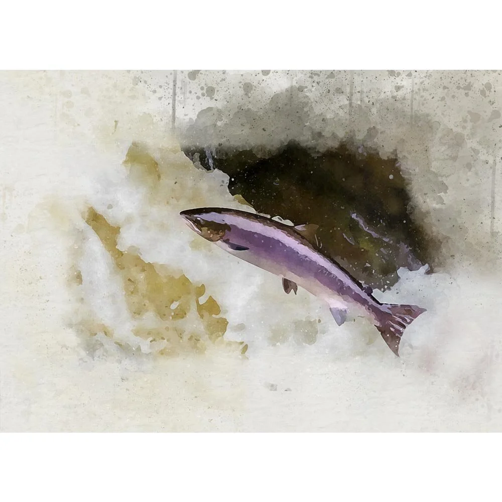salmon jumping up stream abstract figurative painting print
