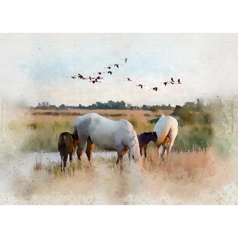 two white horses with foals grazing camargue abstract figurative painting print