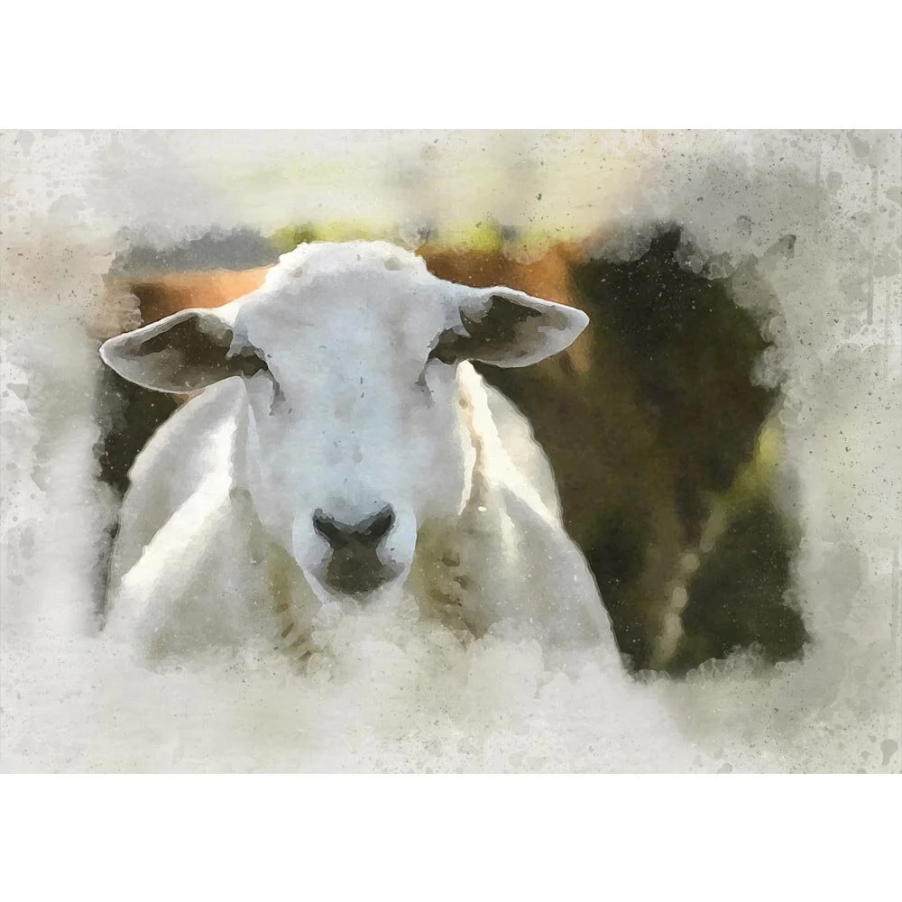 sheep posing like a typical sheep abstract figurative painting print