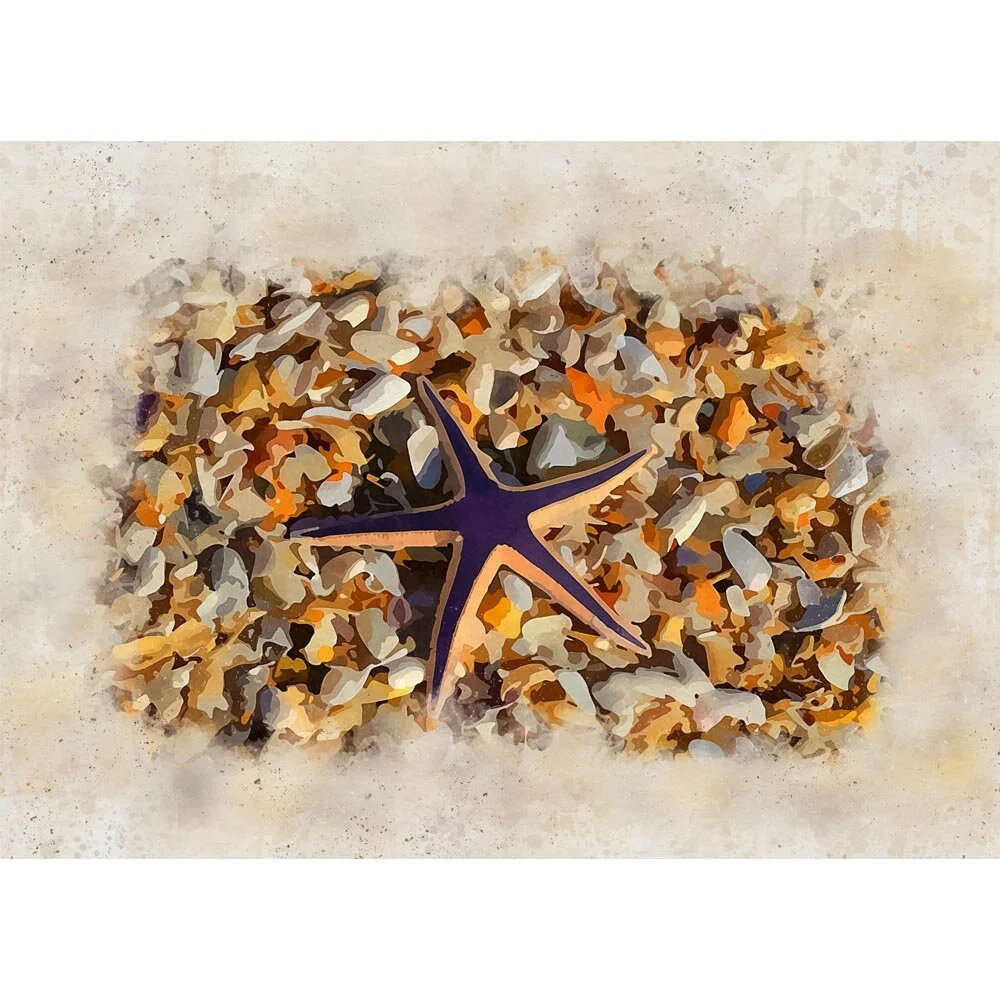 starfish on a bed of sea shells abstract figurative painting print