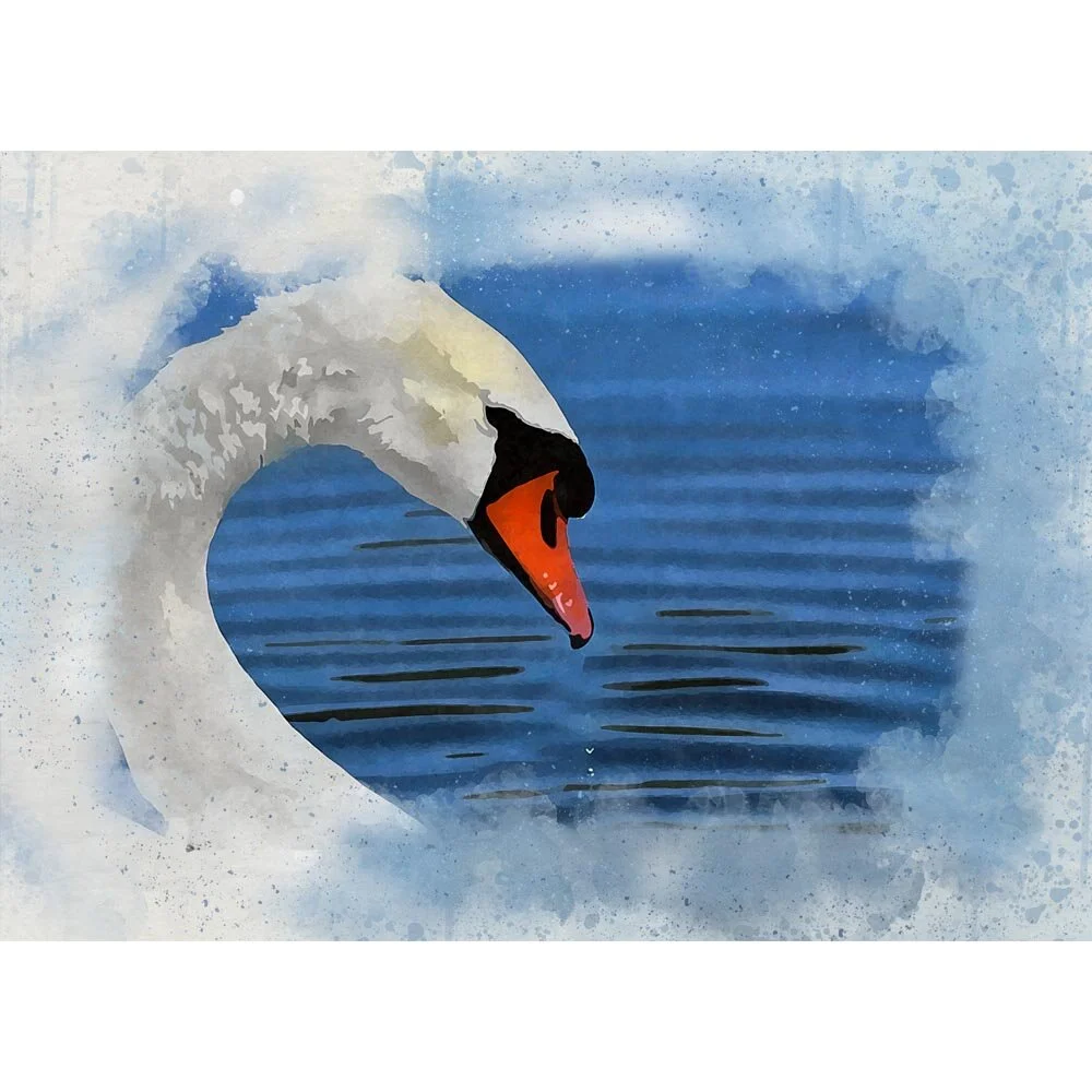 swan swimming close up abstract figurative painting print