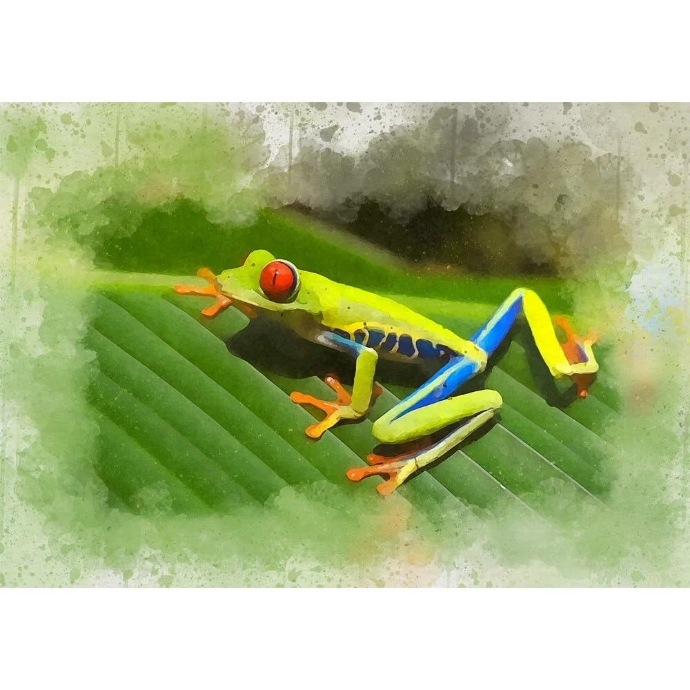red eyed tree frog on a leaf abstract figurative painting print