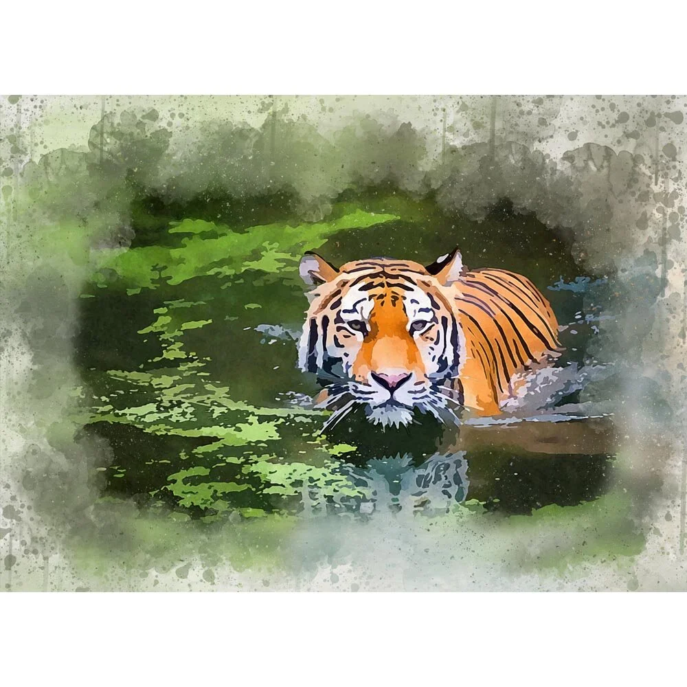 siberian tiger swimming in a pond abstract figurative painting print