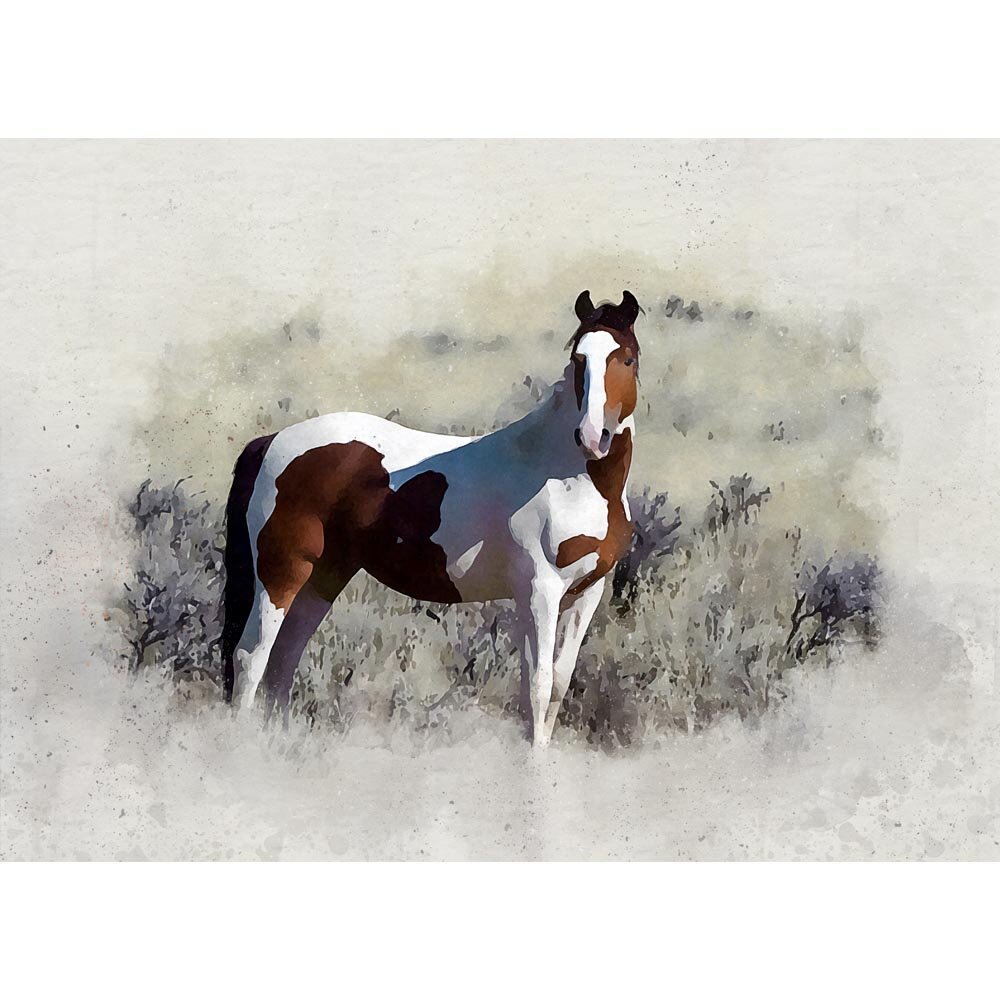 mustang watchful on the prairie abstract figurative painting print