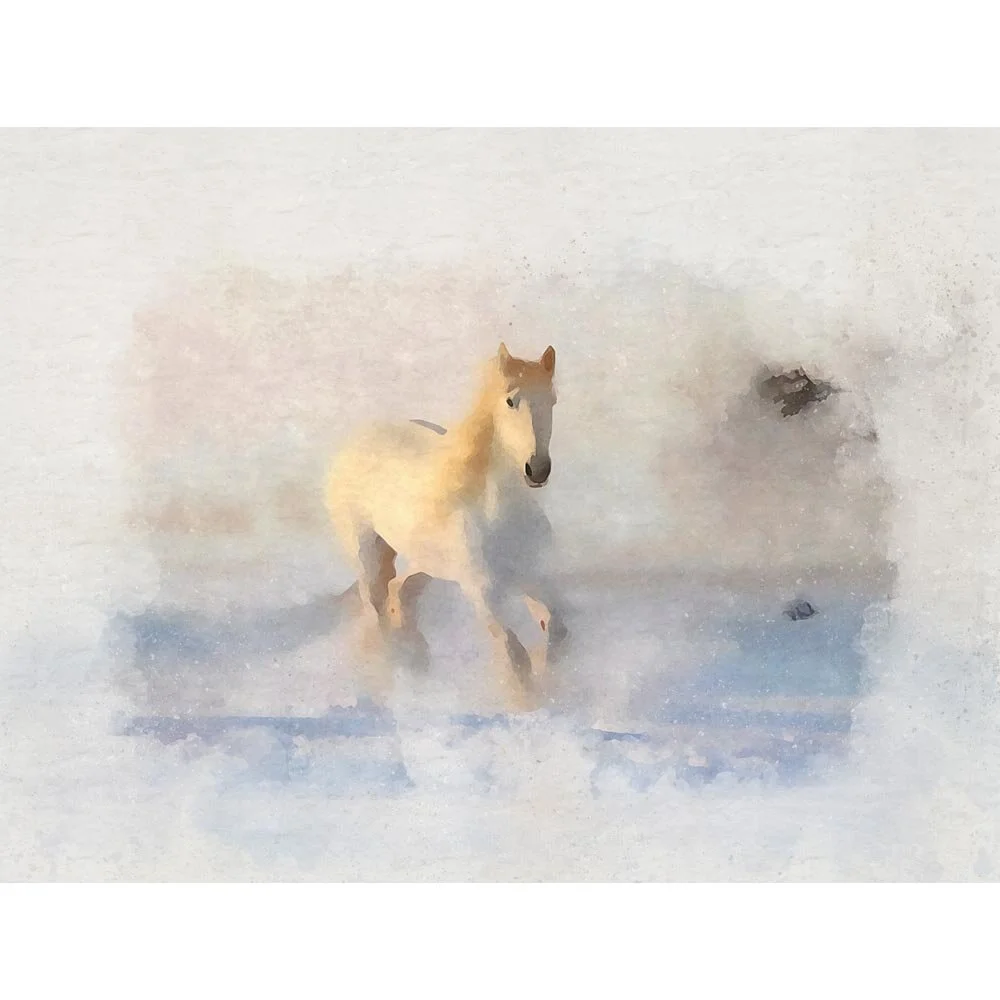 white stallion galopping in snow abstract figurative painting print