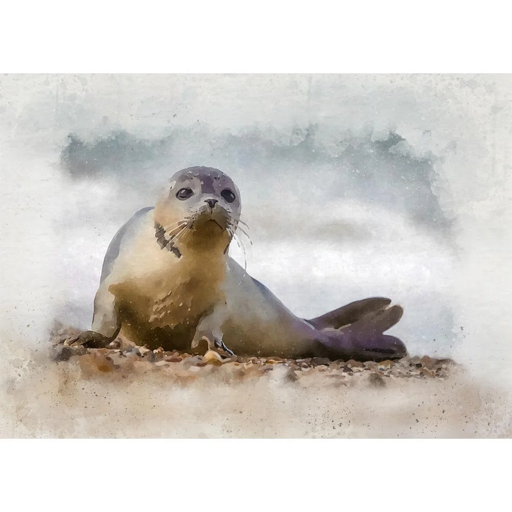 seal cub on pebble beach figurative painting print