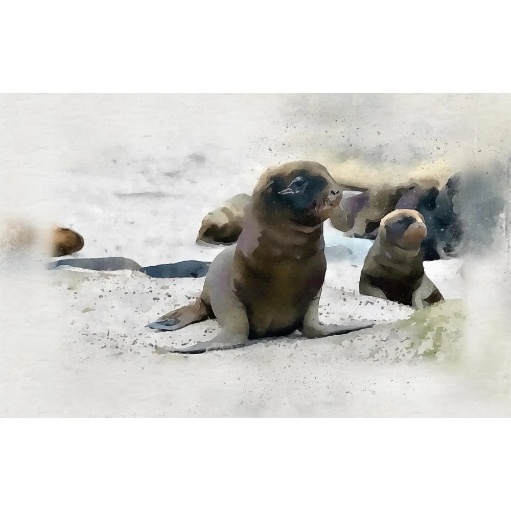 sealion cubs on the beach abstract figurative painting print
