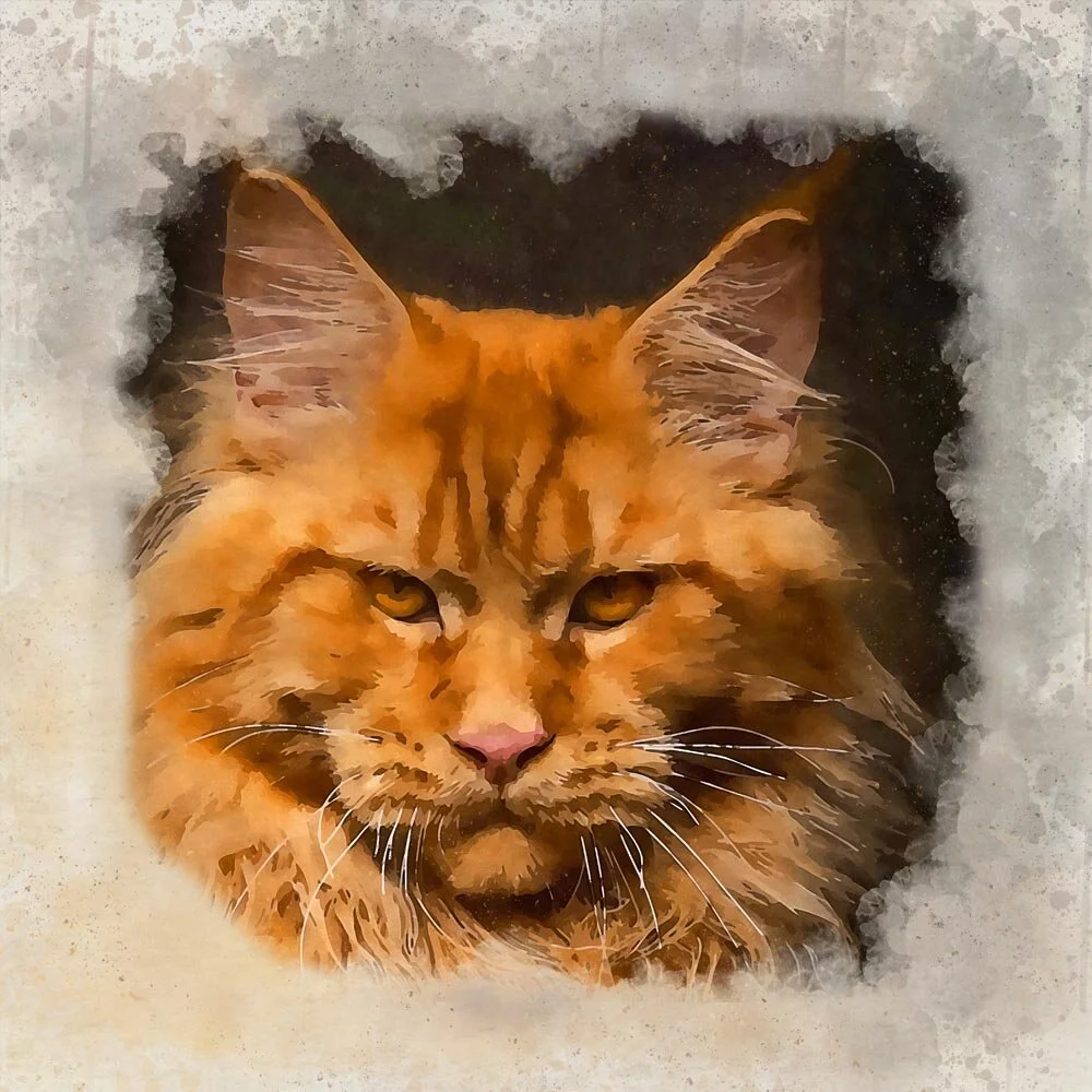 red maine coon portrait abstract figurative painting print