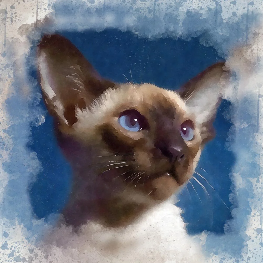 siamese cat portrait abstract figurative painting print