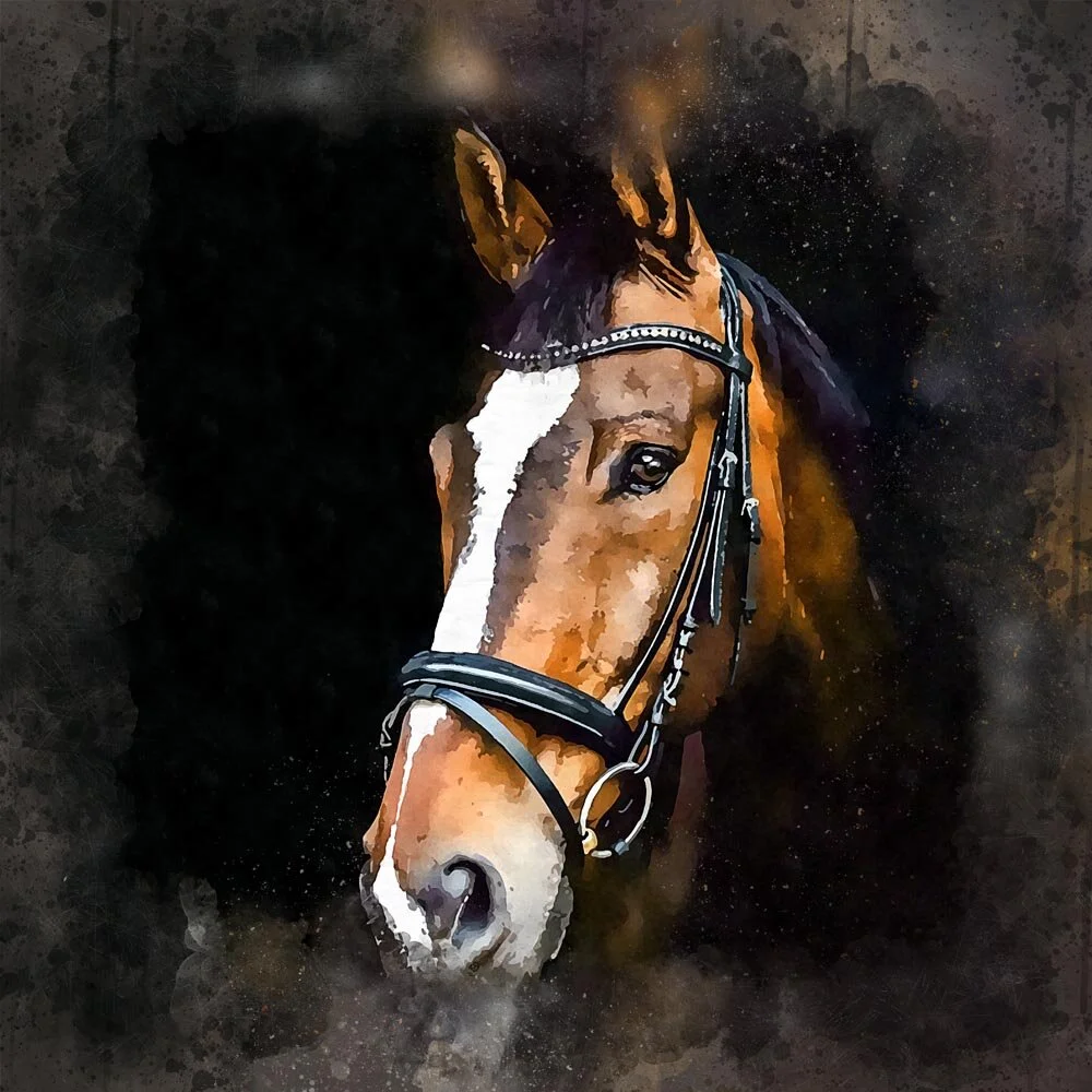 bay horse portrait abstract figurative painting print