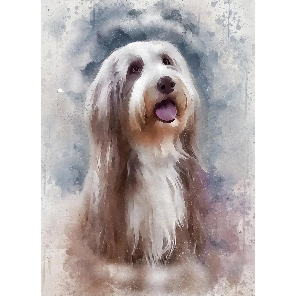 bearded collie portrait abstract figurative painting print