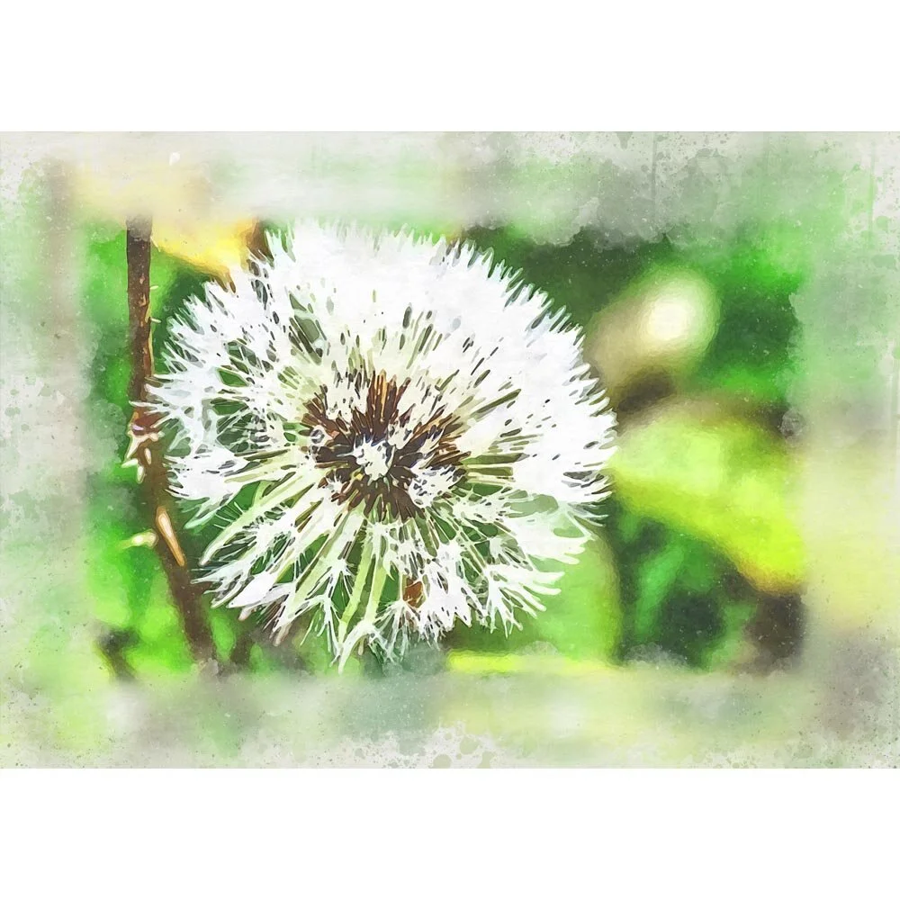 dandelion seeds on stem on a green background abstract figurative print
