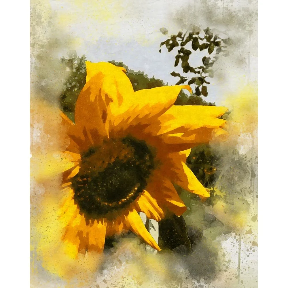 sunflower on a cloudy day abstract figurative print