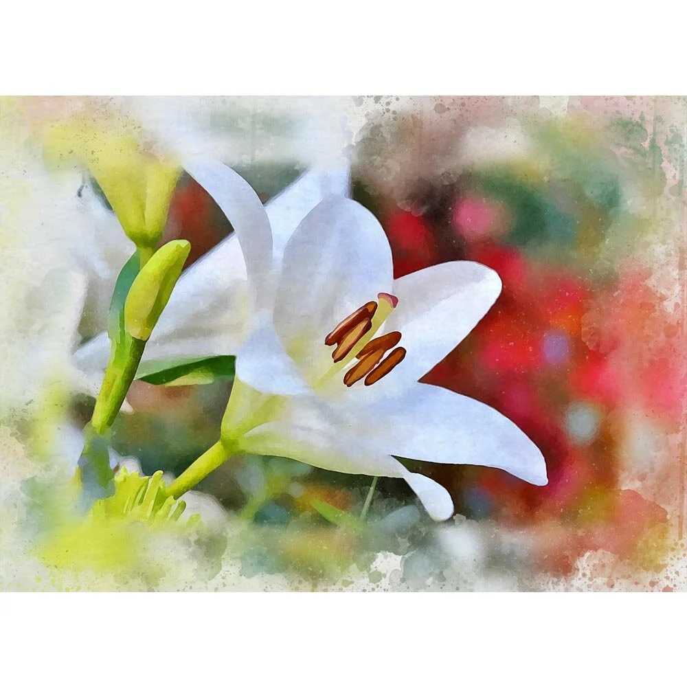 white lily flower close up abstract figurative print