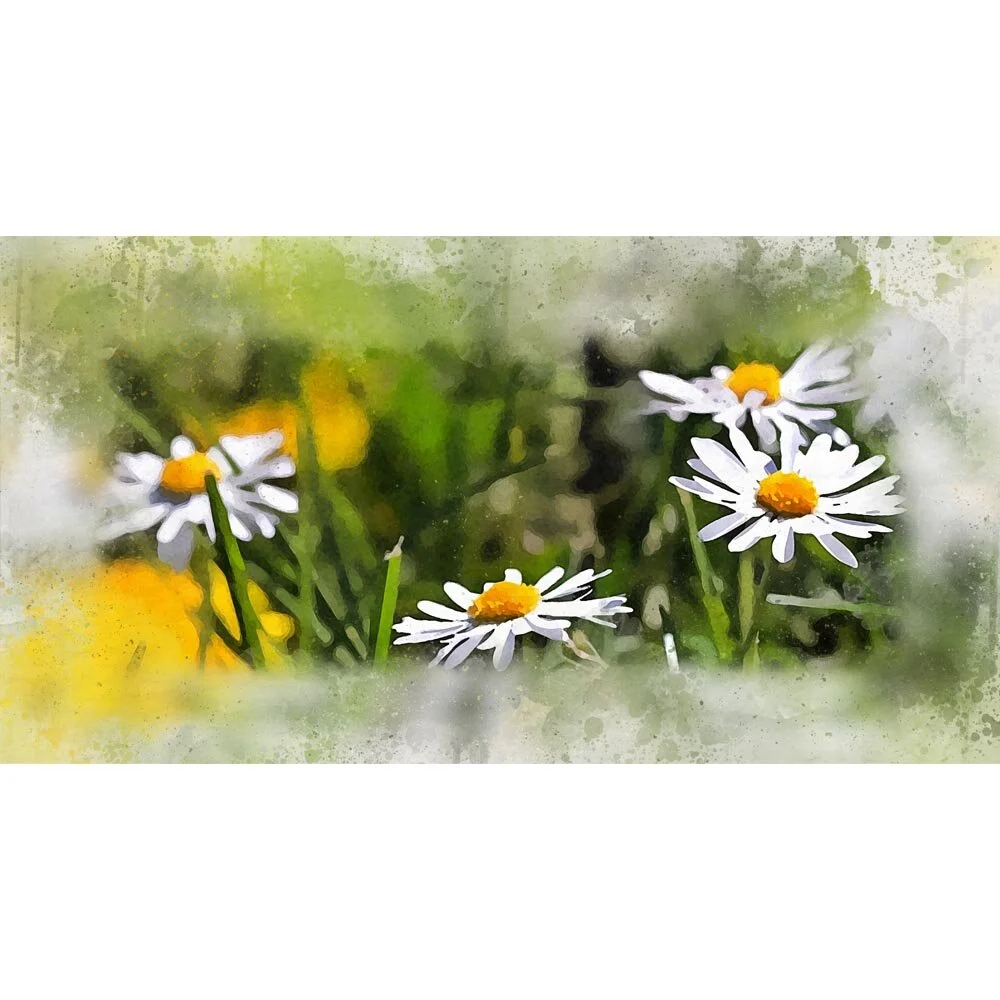 daisies in a field abstract figurative print