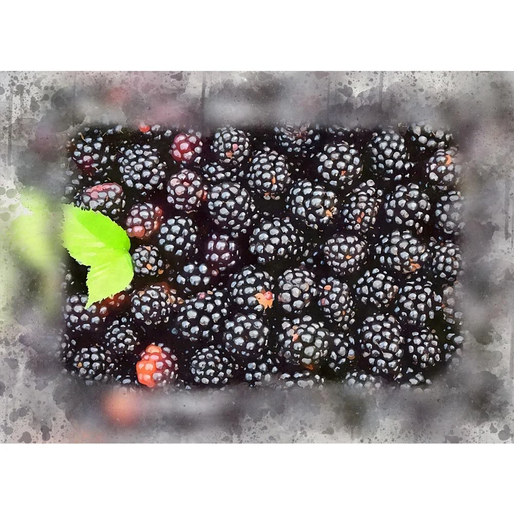 blackberries with a green leaf abstract figurative print