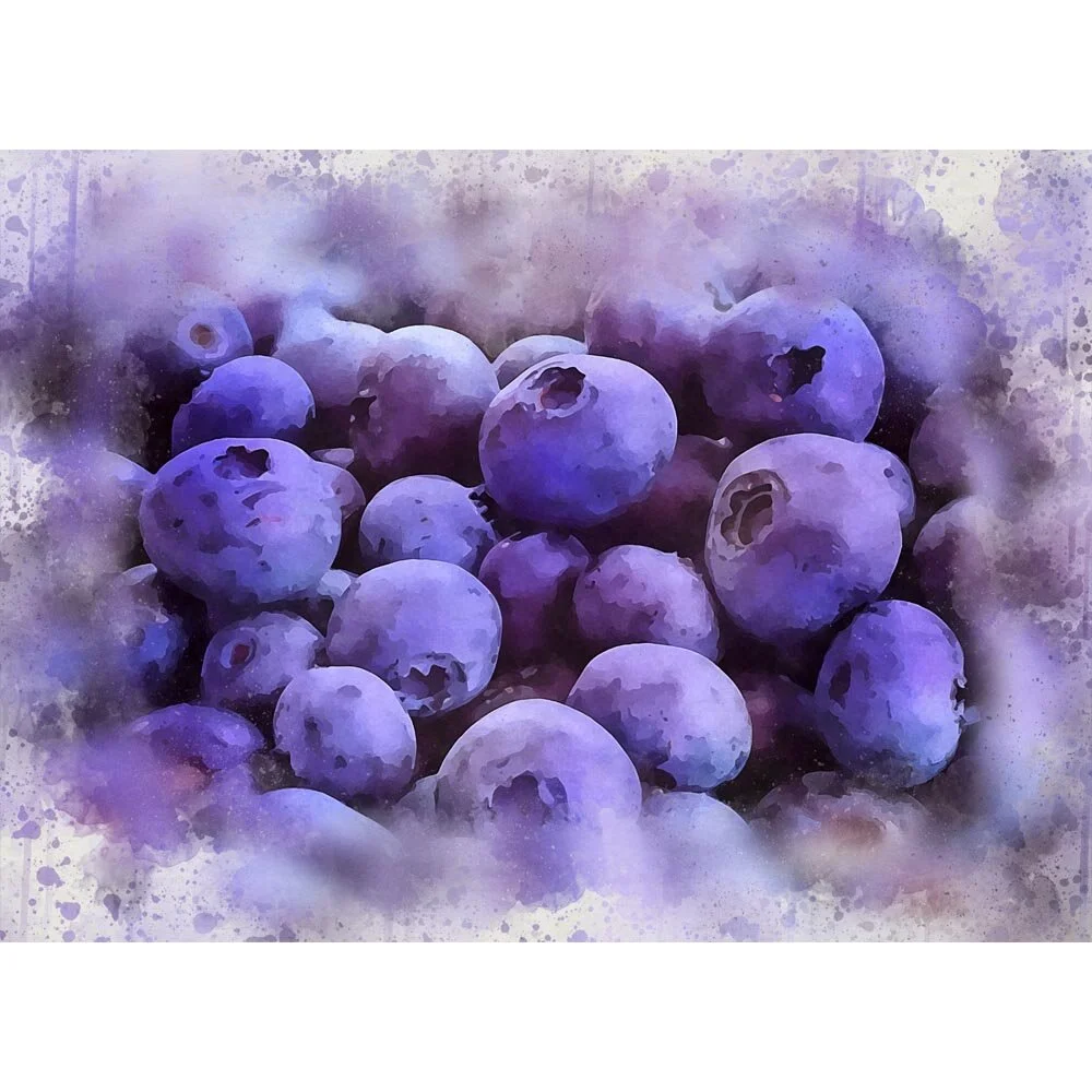 blueberries close-up abstract figurative print