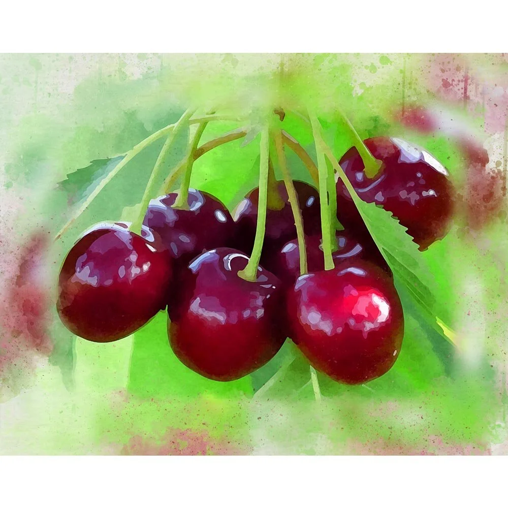 cluster of cherries hanging in a tree abstract figurative print