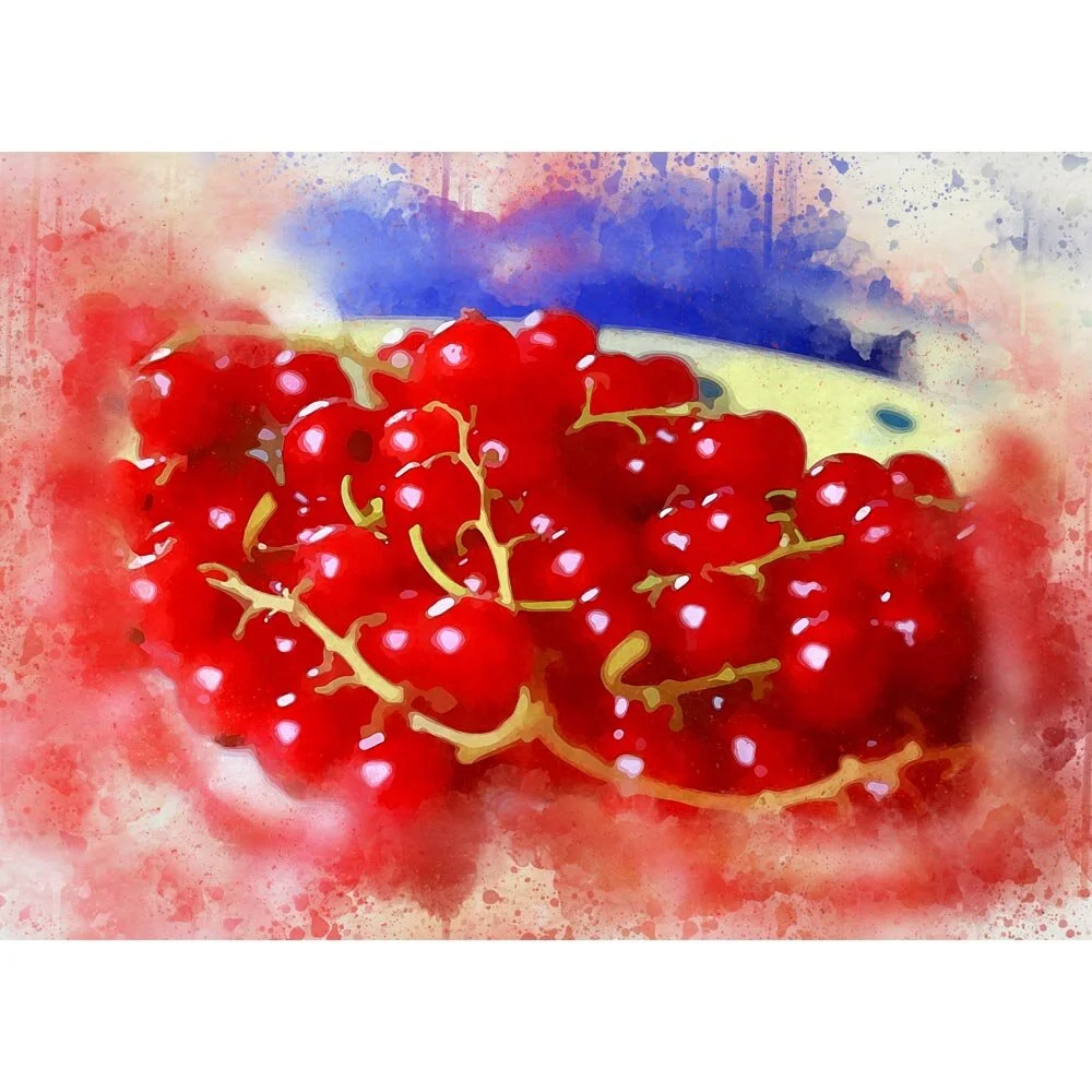 red currents on a plate close-up abstract figurative print