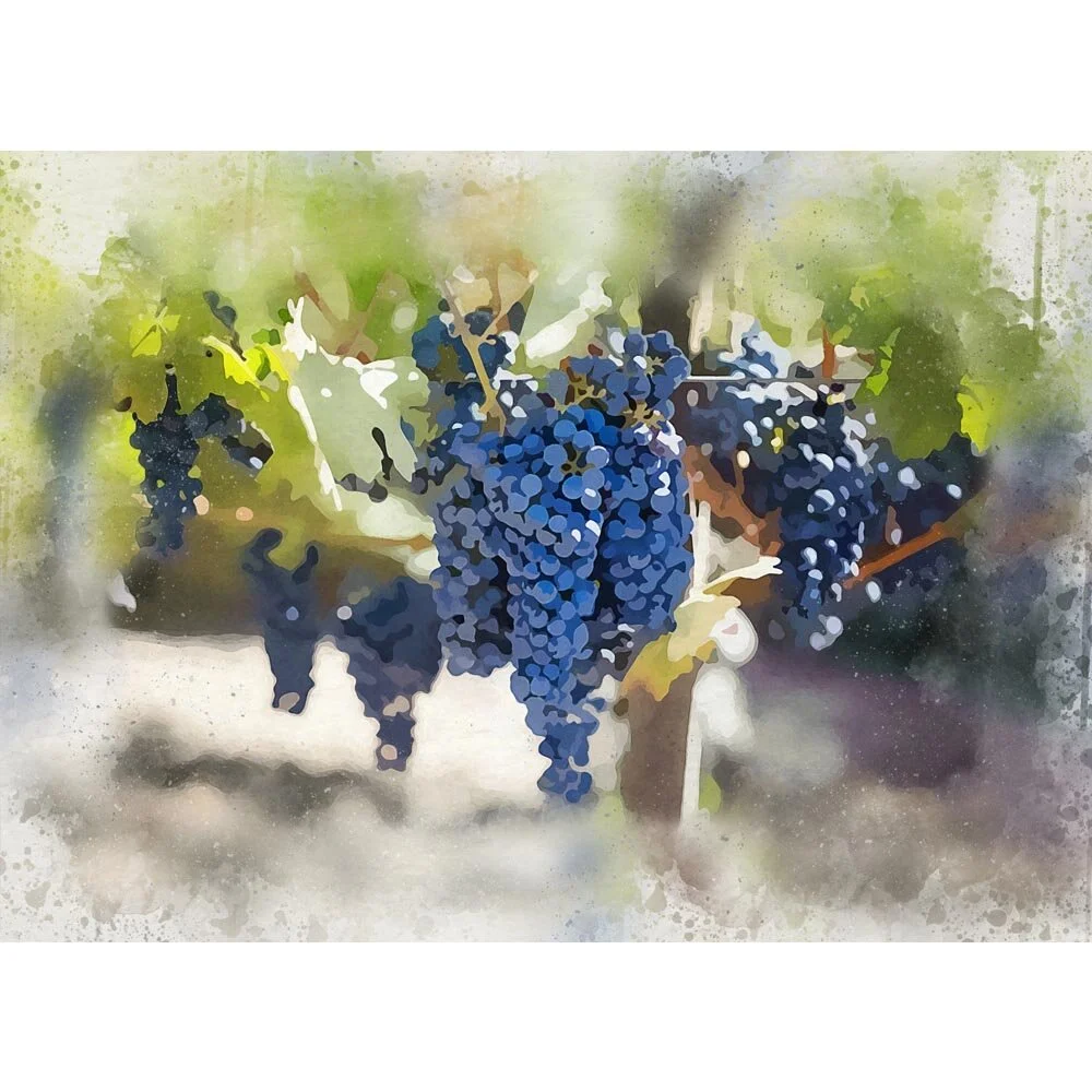 blue grapes hanging in a bush abstract figurative print