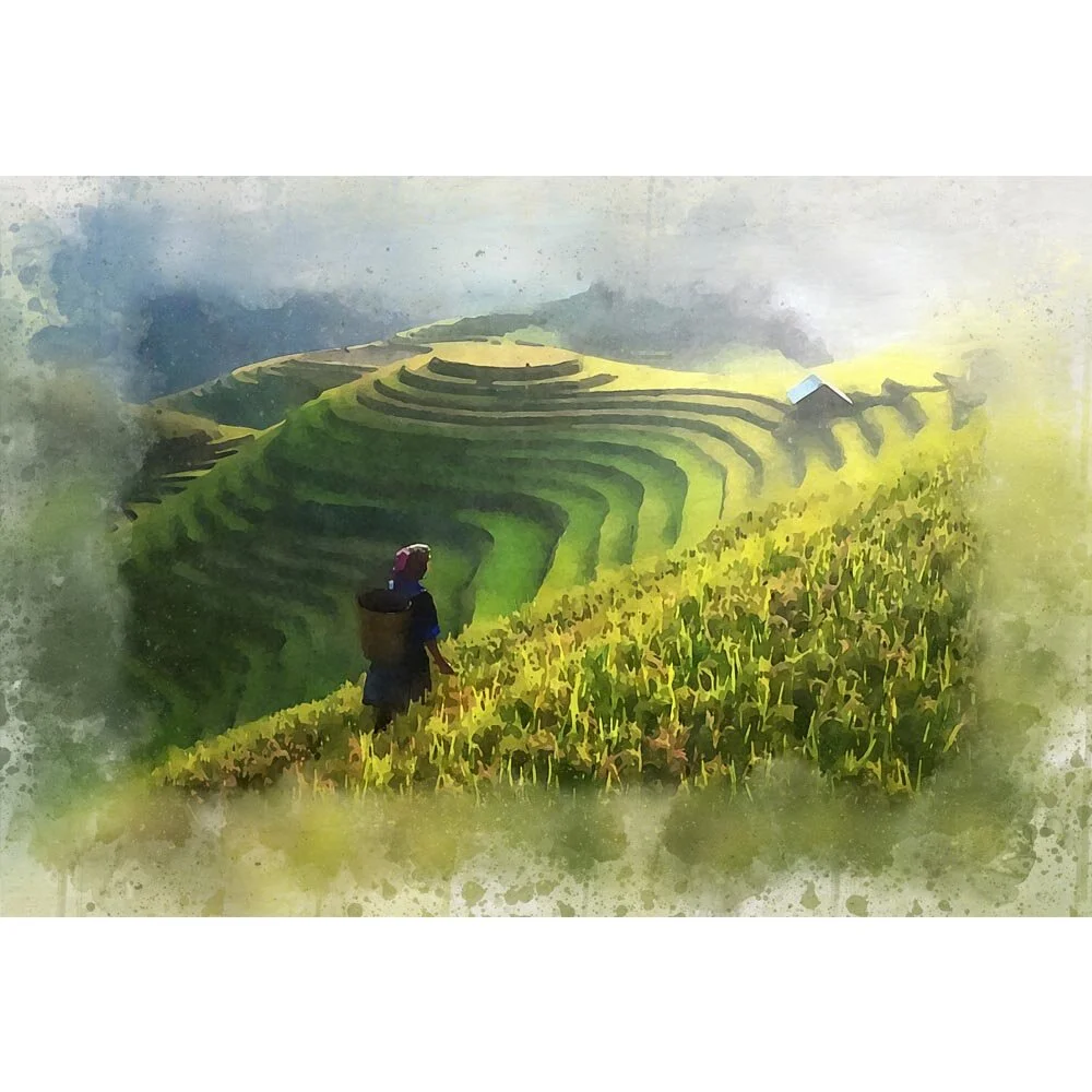 rice fields in asia abstract figurative print