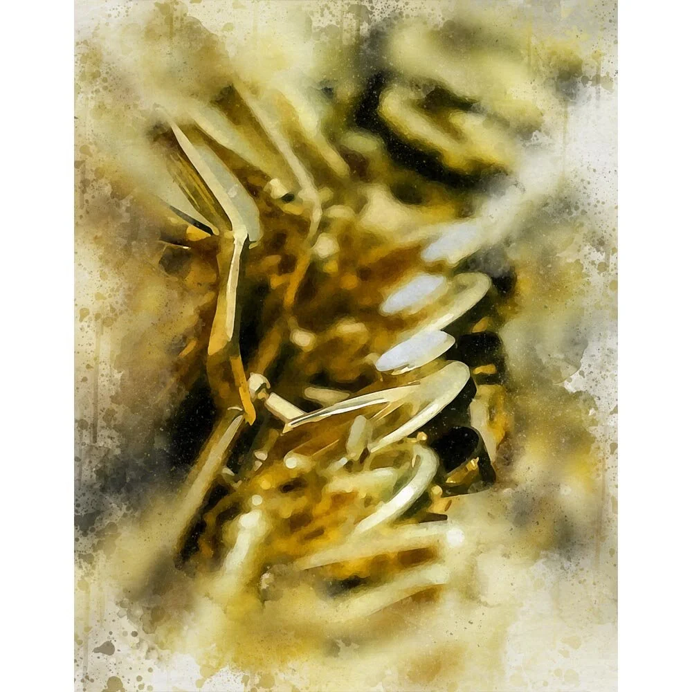 saxophone valves close up abstract figurative print
