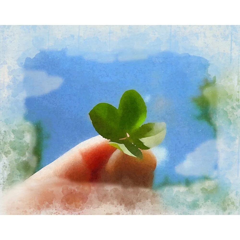four leaf clover good luck charm abstract figurative  print